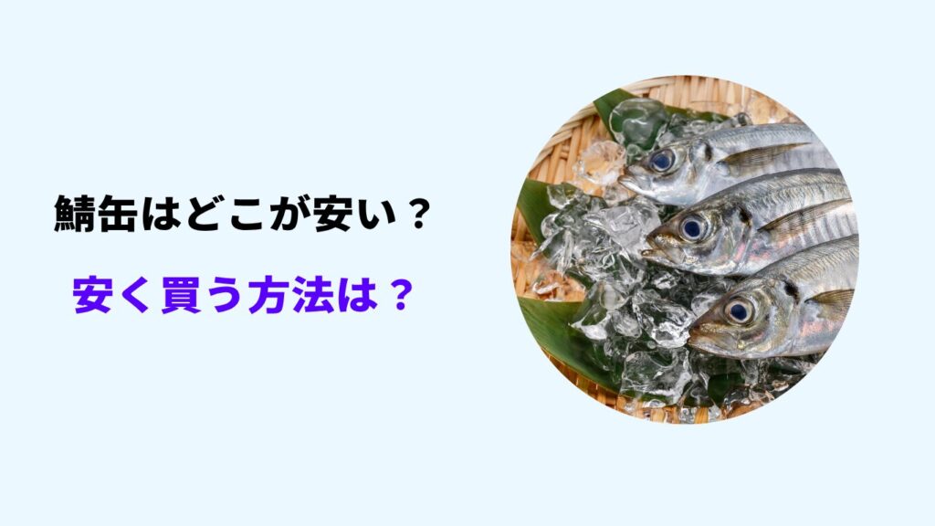 鯖缶 どこが安い